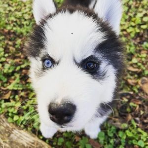 Meet your Posher, Noreen